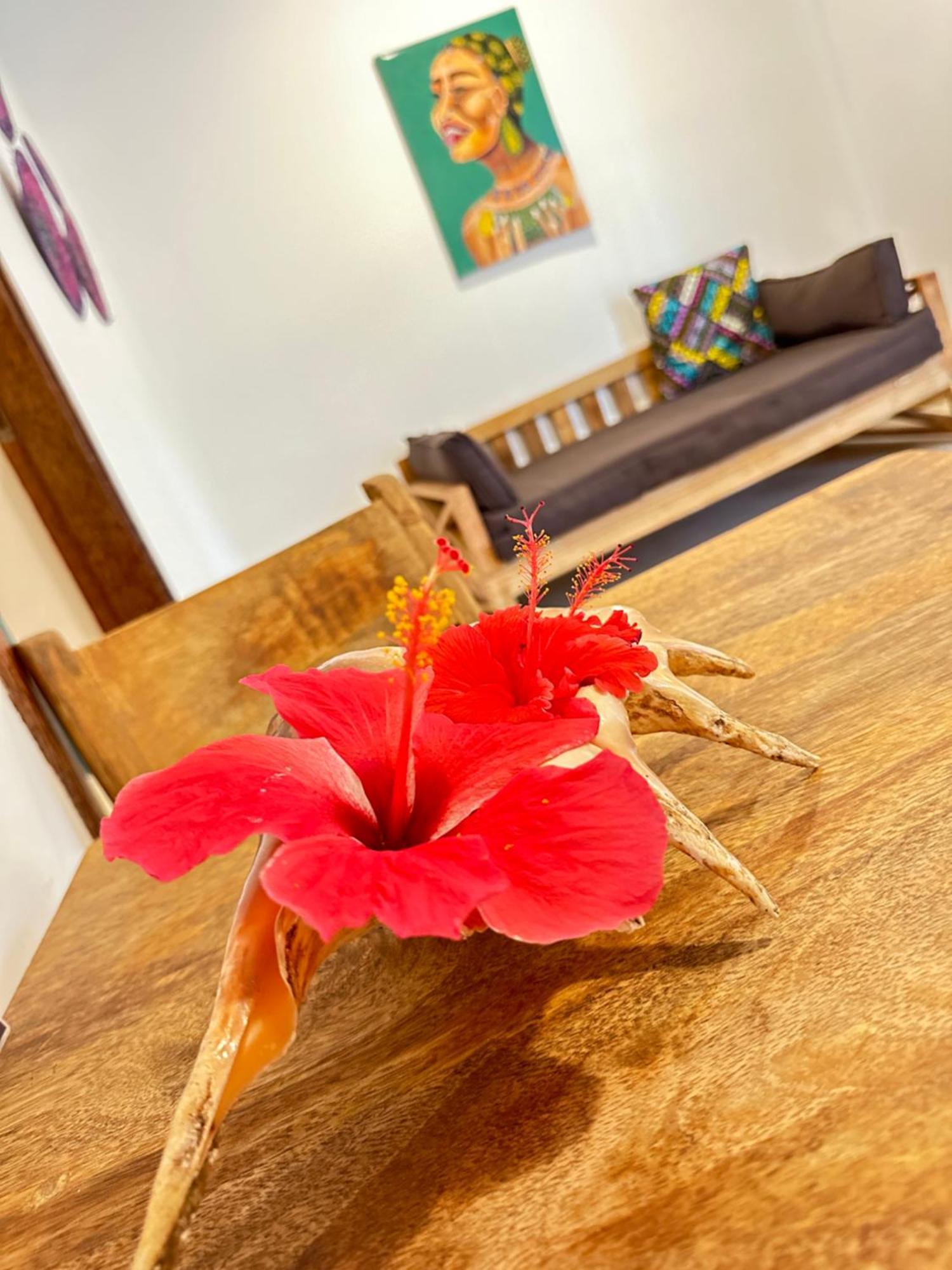 Sand Beach Boutique Apartments 布韦朱 外观 照片